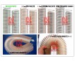 PU風管，進口工業吸塵管，PU透明鋼絲伸縮風管