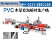 山東通佳PVC木塑櫥柜家具板生產線