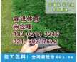 溧陽足球場人造草坪施工材料承建